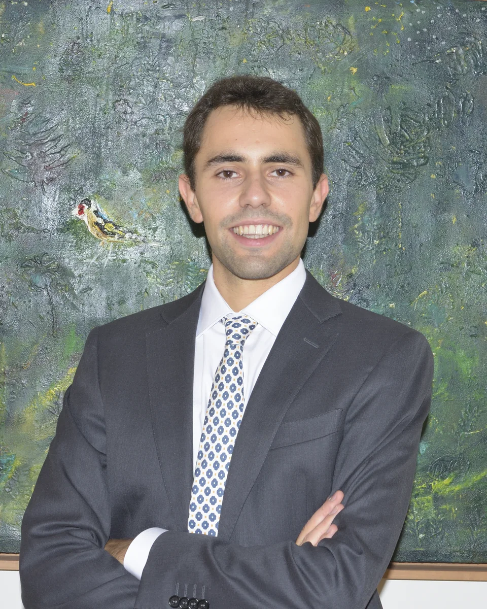 Marcello Siviero, presidente di JEVE